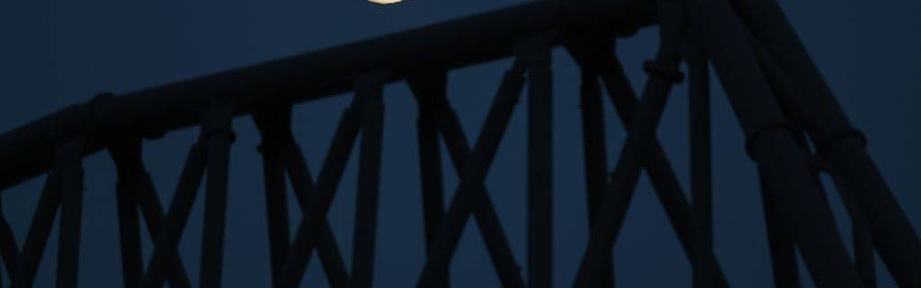 泰勒·莫顿：从红军小将到法甲新星的心路历程，英超冠军的光辉与沮丧交织